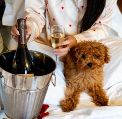 Romantic Valentine’s Day Getaway : Hôtel Six Paris, an Elegant Setting for Your February Escape