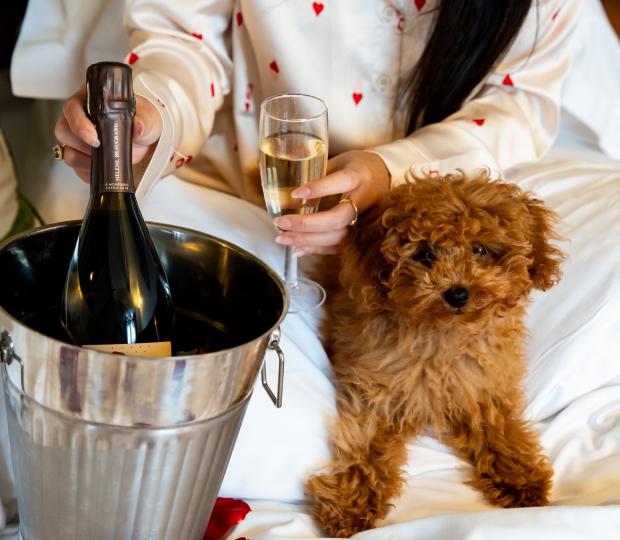 Romantic Valentine’s Day Getaway : Hôtel Six Paris, an Elegant Setting for Your February Escape