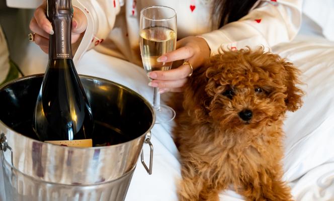 Romantic Valentine’s Day Getaway : Hôtel Six Paris, an Elegant Setting for Your February Escape