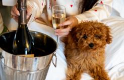 Séjour romantique pour la Saint-Valentin : l’Hôtel Six à Paris, écrin d’élégance pour votre escapade de février