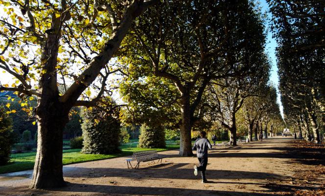 Running in Paris: The Most Beautiful Jogging Routes Around Hôtel Le Six