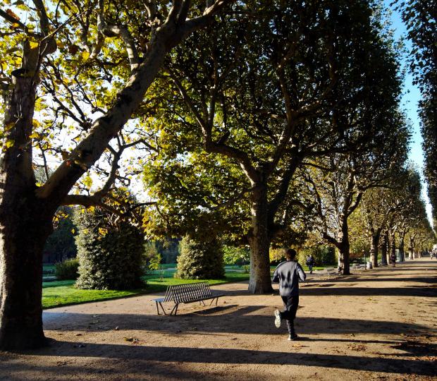 Courir à Paris : Les plus beaux circuits de running autour de l’Hôtel Le Six