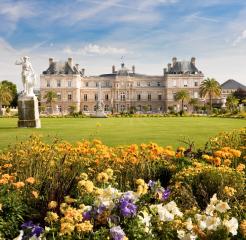 Discover the Summer Magic of a Parisian Summer