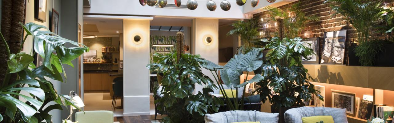 Le Six Hôtel - Winter garden